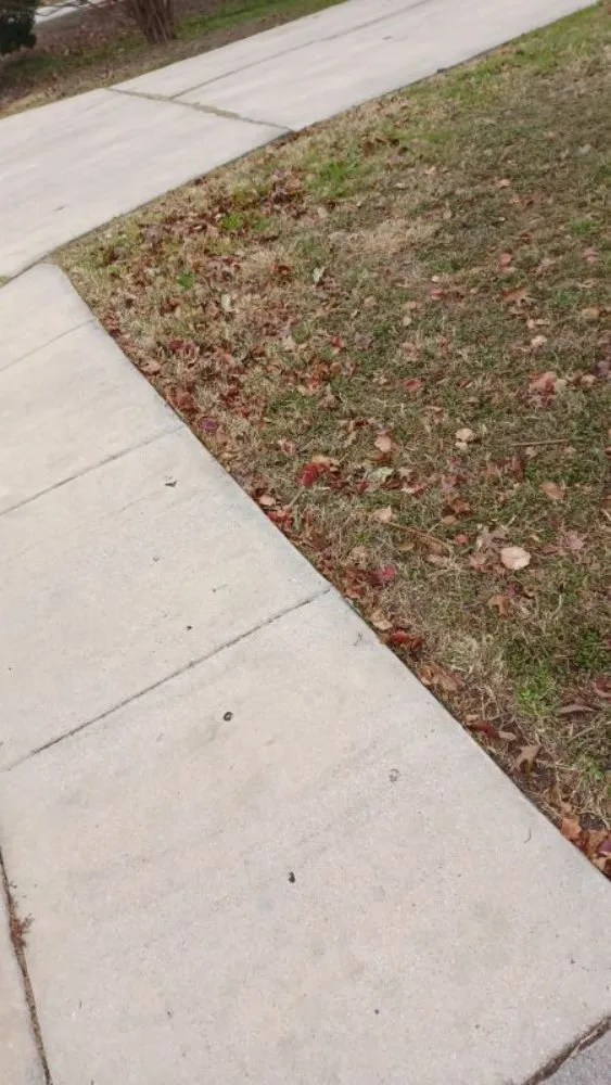 Trusted outdoor landscaping for outdoor upgrades across San Antonio, TX - Bros Brothers Unlimited Services