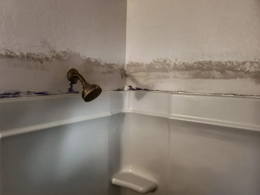 Local landscaping services experts serving Yuma, AZ - Bro's Handyman & Lawncare Service