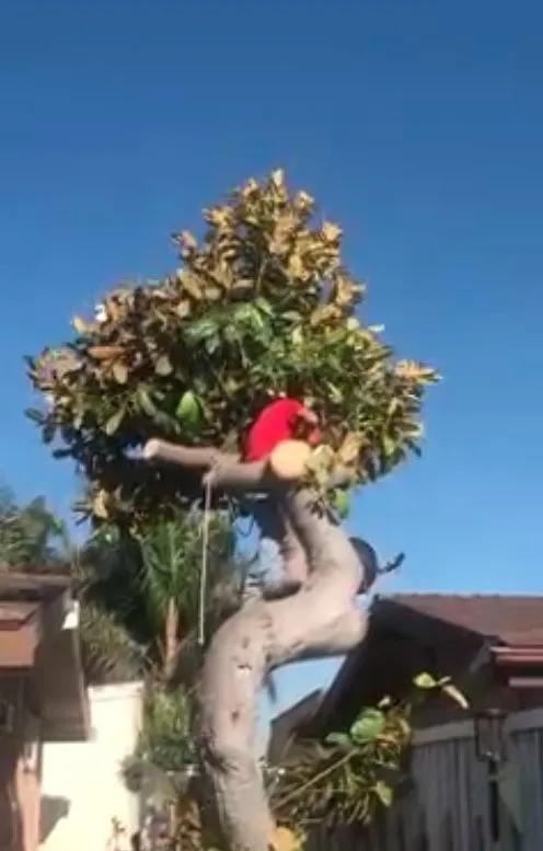 Expert landscape installation experts serving Lompoc, CA - Bro’s Landscape