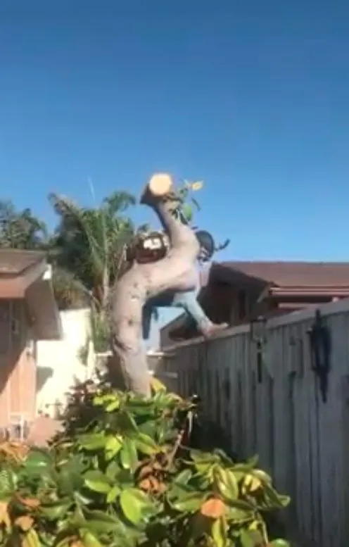 Affordable outdoor landscaping for year-round maintenance in Lompoc, CA by Bro’s Landscape