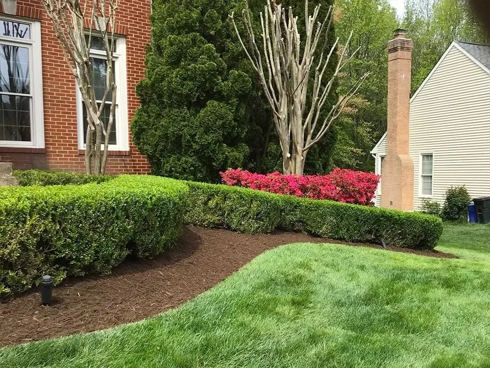Local lawn care service for beautiful yards in Burlington, NC by Bro’s Landscaping & Lawn Care