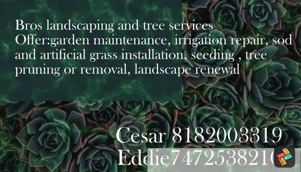 Top-rated landscape design for outdoor upgrades in Kagel Canyon, CA by Bros Landscaping and Tree Services