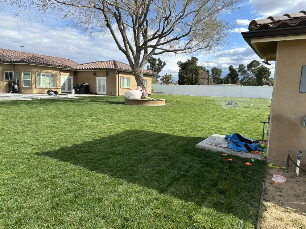 Affordable landscape installation in Kagel Canyon, CA - Bros Landscaping and Tree Services