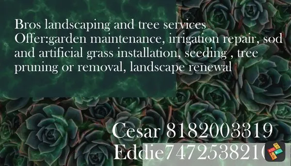 Bros Landscaping and Tree Services Logo