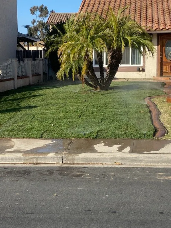 Trusted yard cleanup service in Imperial Beach, CA - Bros Landscaping