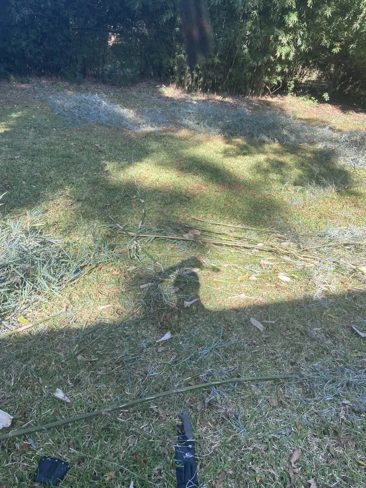 Affordable garden landscaping in Savannah, GA - Bros Lawn Care