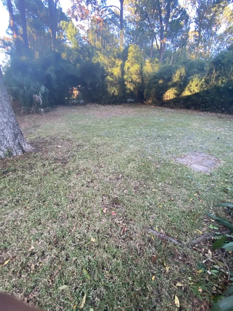 Reliable yard maintenance for outdoor upgrades in Savannah, GA by Bros Lawn Care