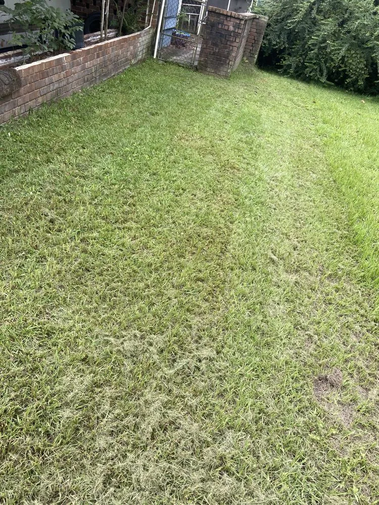 Custom lawn care service for outdoor upgrades across Savannah, GA - Bros Lawn Care