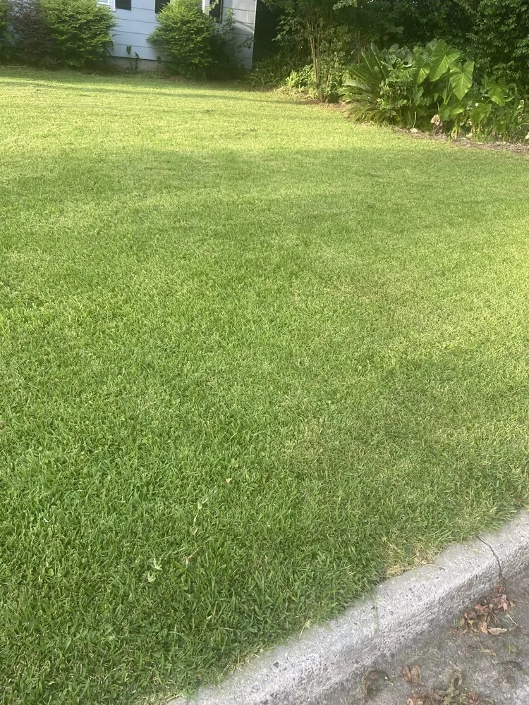 Local residential landscaping for residential properties in Savannah, GA by Bros Lawn Care