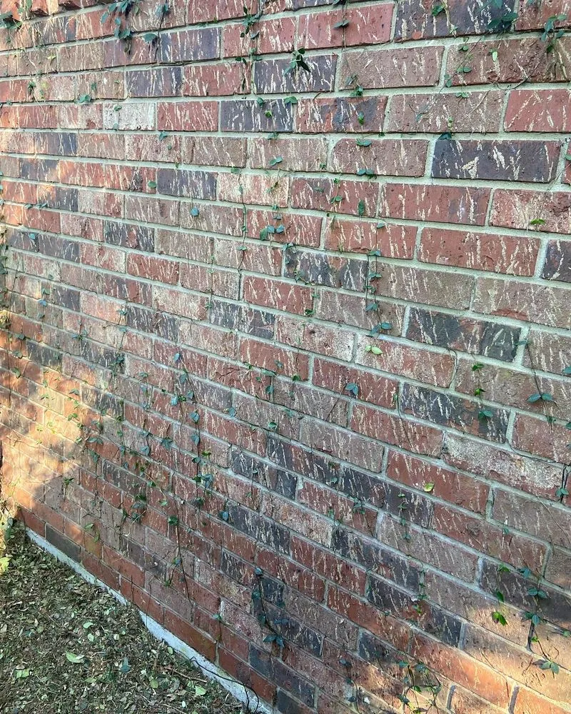 Local lawn care service in Savannah, GA - Bros Lawn Care