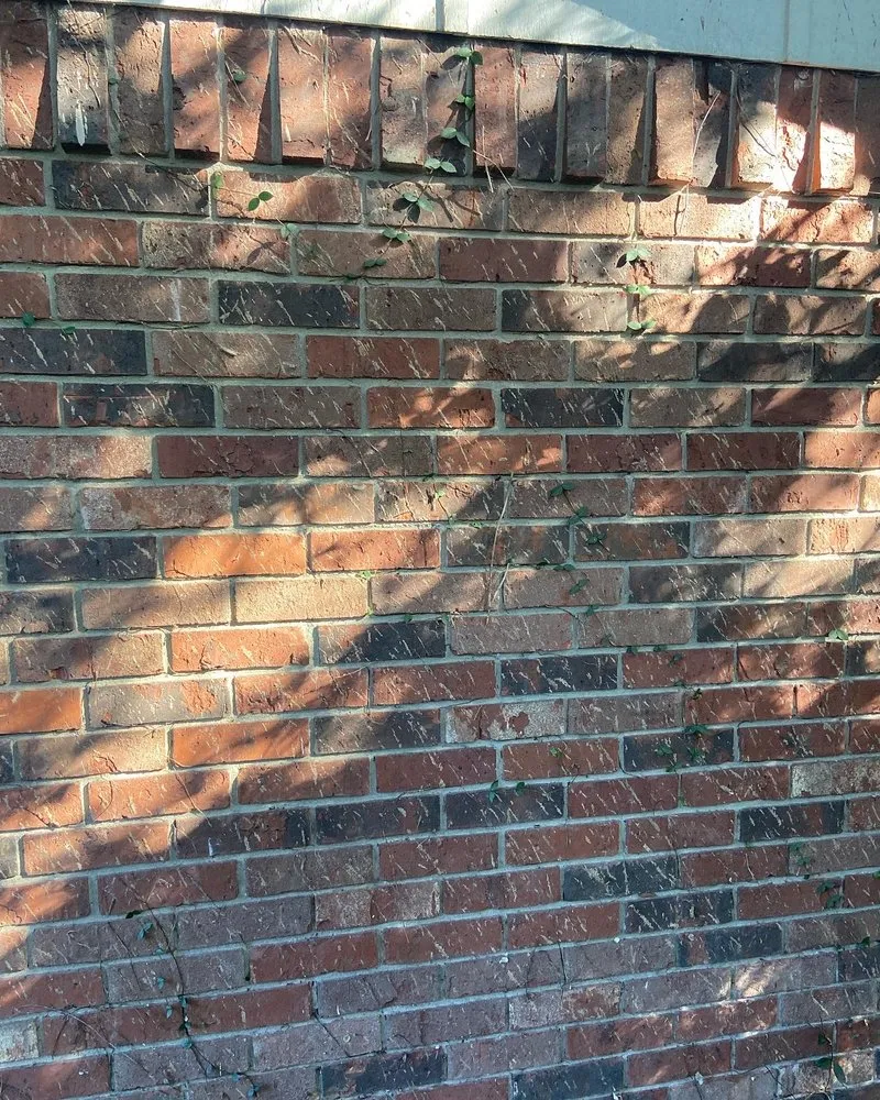 Reliable lawn mowing service in Savannah, GA - Bros Lawn Care