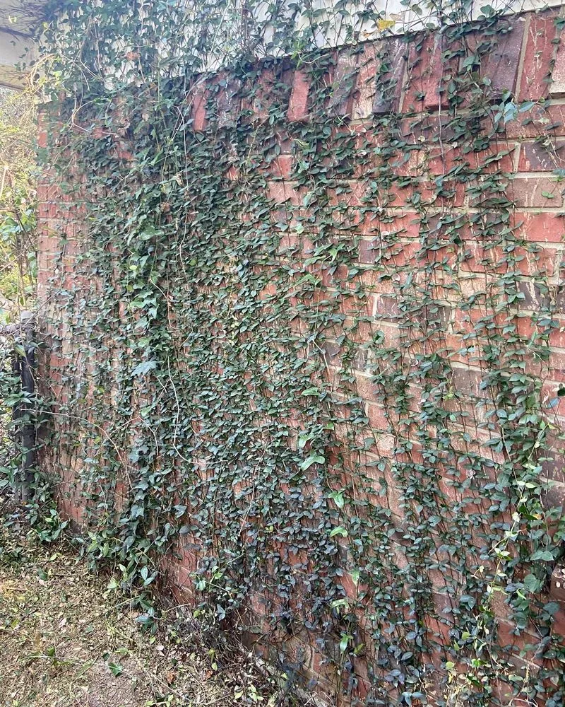 Trusted landscape design in Savannah, GA by Bros Lawn Care