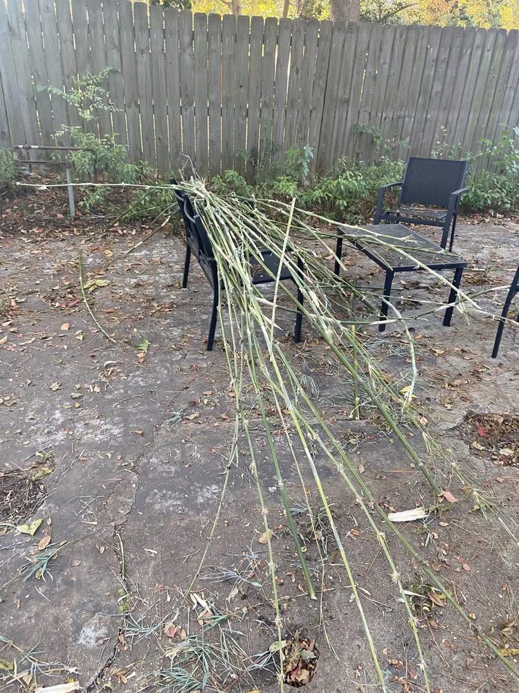 Custom garden landscaping with custom design in Savannah, GA by Bros Lawn Care