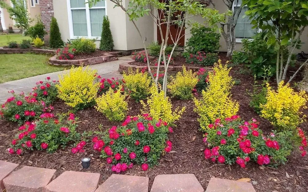 Professional landscape design experts serving Houston, TX - Bros lawn management