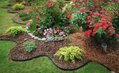 Trusted yard cleanup service experts serving Watertown, NY - Bro's Services