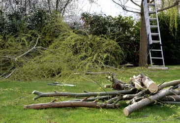 Expert outdoor landscaping for homes across Watertown, NY - Bro's Services