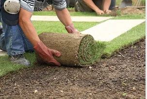 Affordable yard cleanup service in Watertown, NY - Bro's Services