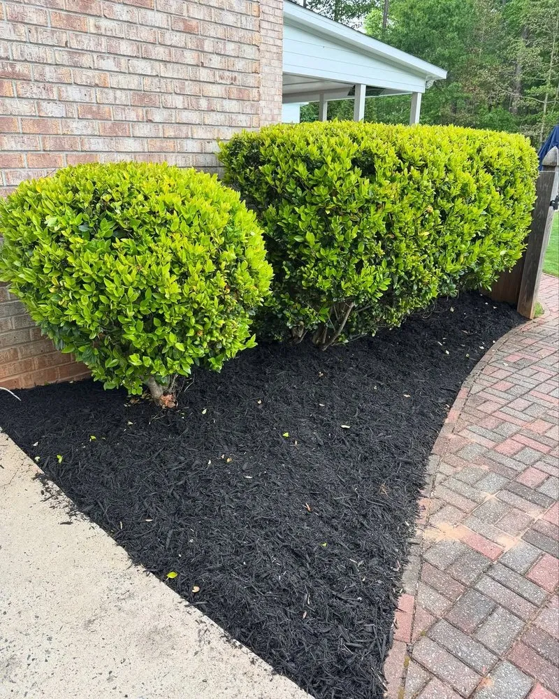 Custom residential landscaping in Alpharetta, GA - Bros With A Cause