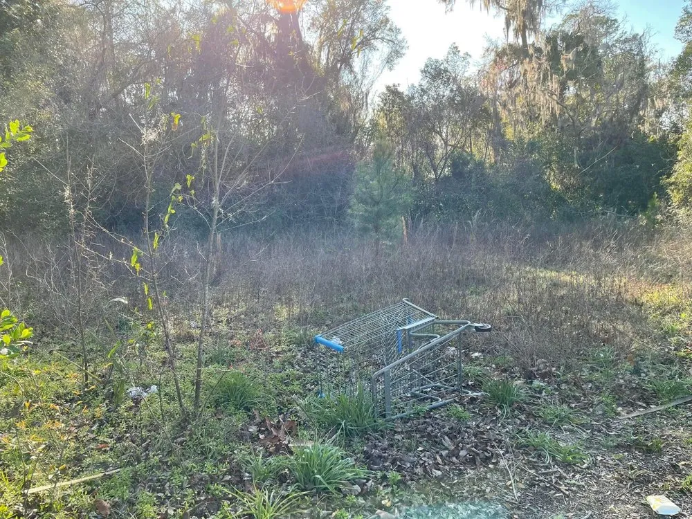 Trusted lawn mowing service in Lake City, FL - Broshar Unlimited