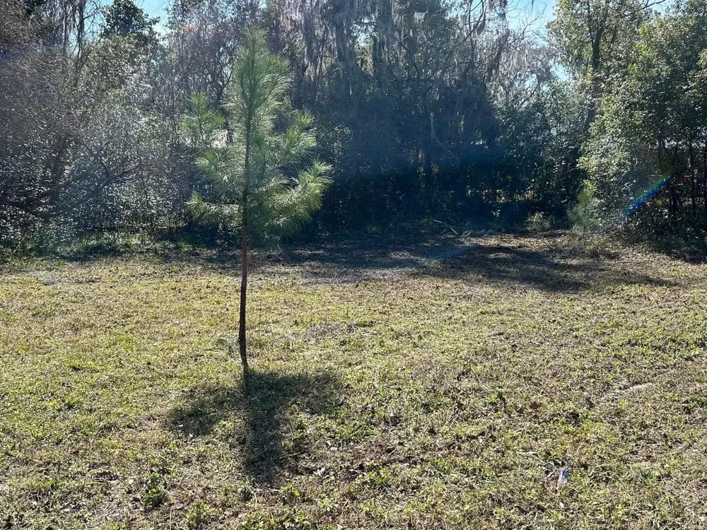 Custom residential landscaping with custom design across Lake City, FL - Broshar Unlimited