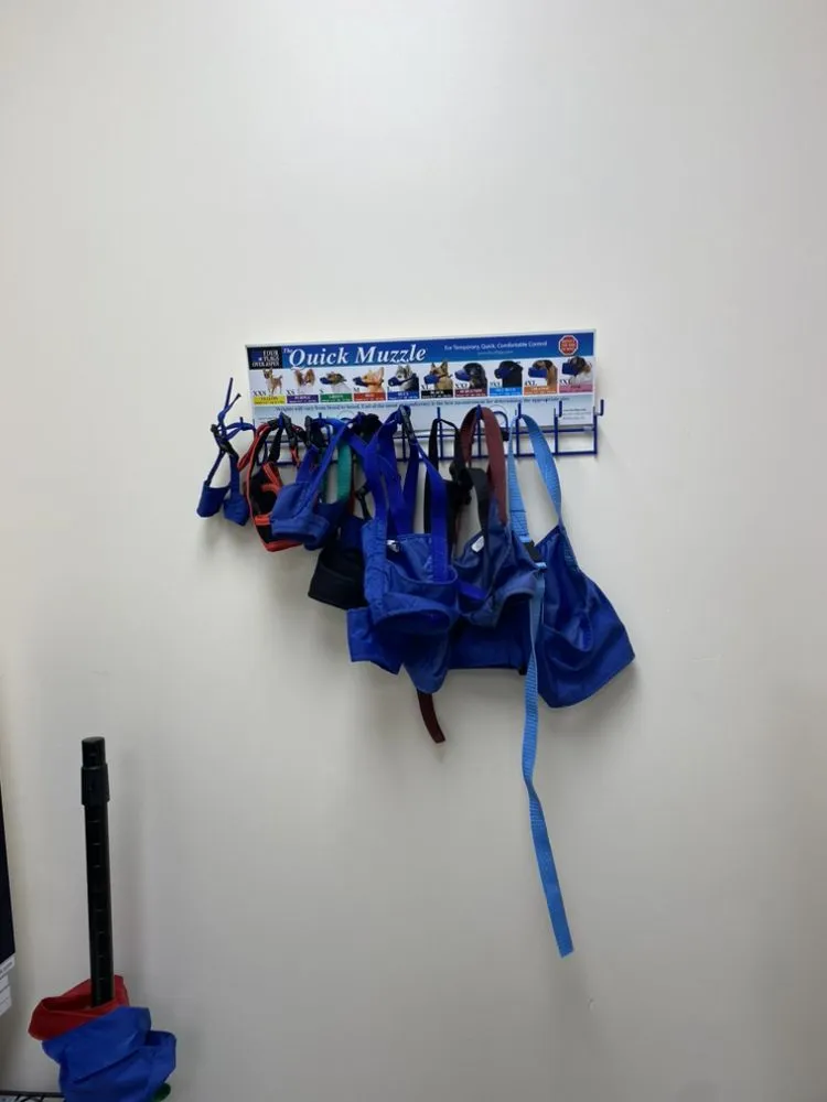 Custom lawn mowing service in Lake City, FL by Broshar Unlimited