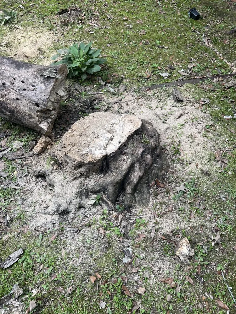 Custom yard cleanup service experts serving McComb, MS - Broslandscaping