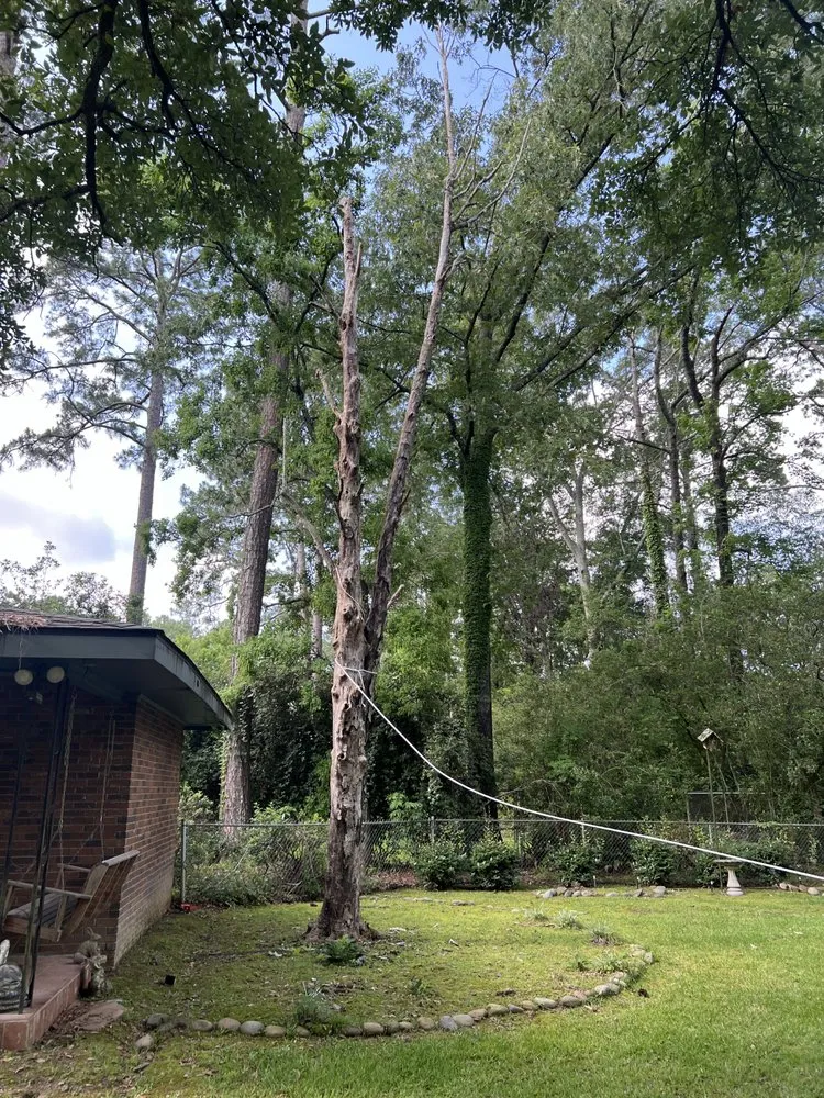 Expert landscape design in McComb, MS by Broslandscaping