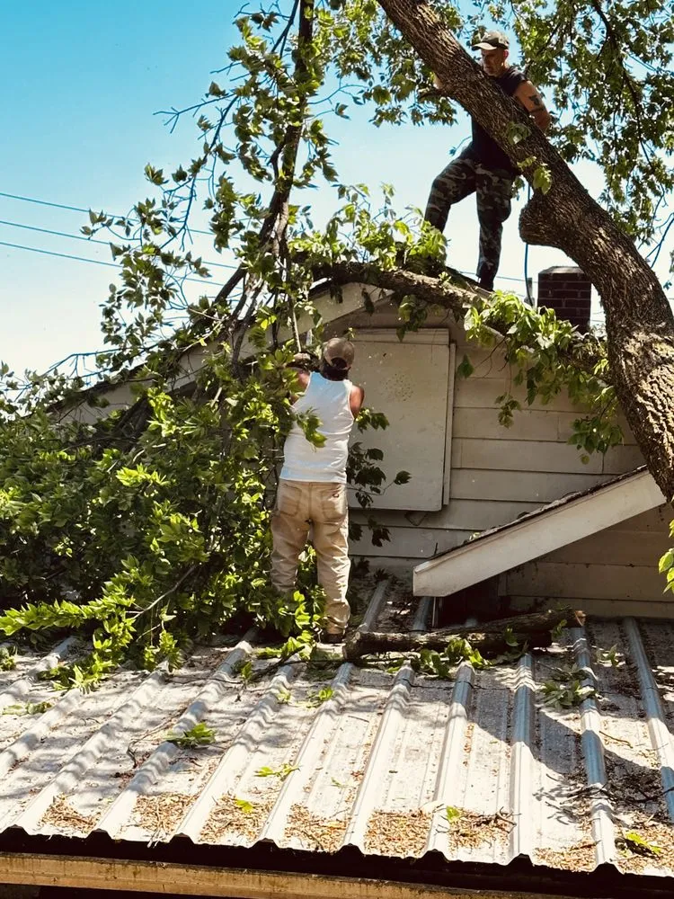 Expert lawn care service in Erlanger, KY by Brossart F. Tree Service