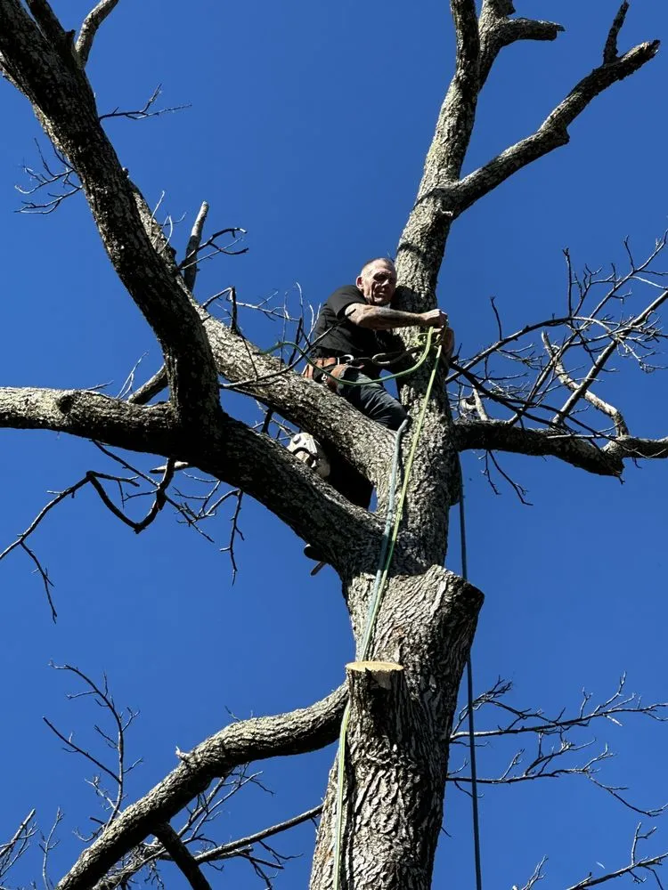 Custom garden landscaping for beautiful yards in Erlanger, KY by Brossart F. Tree Service