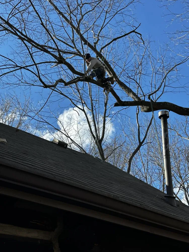 Local landscape installation experts serving Erlanger, KY - Brossart F. Tree Service