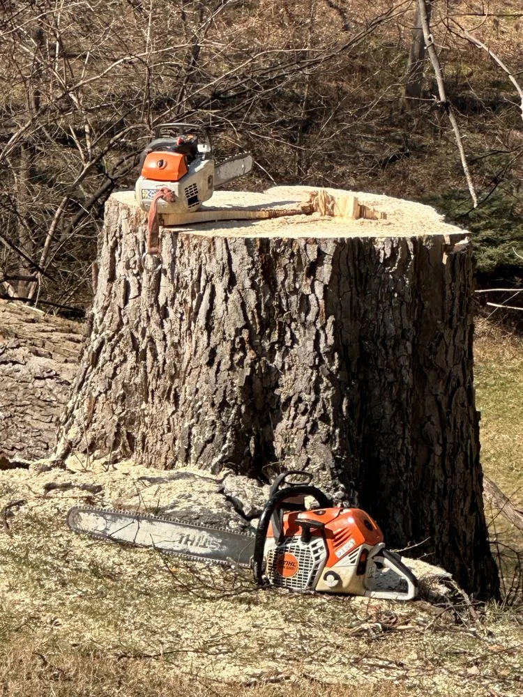 Affordable lawn care service near you across Erlanger, KY - Brossart F. Tree Service