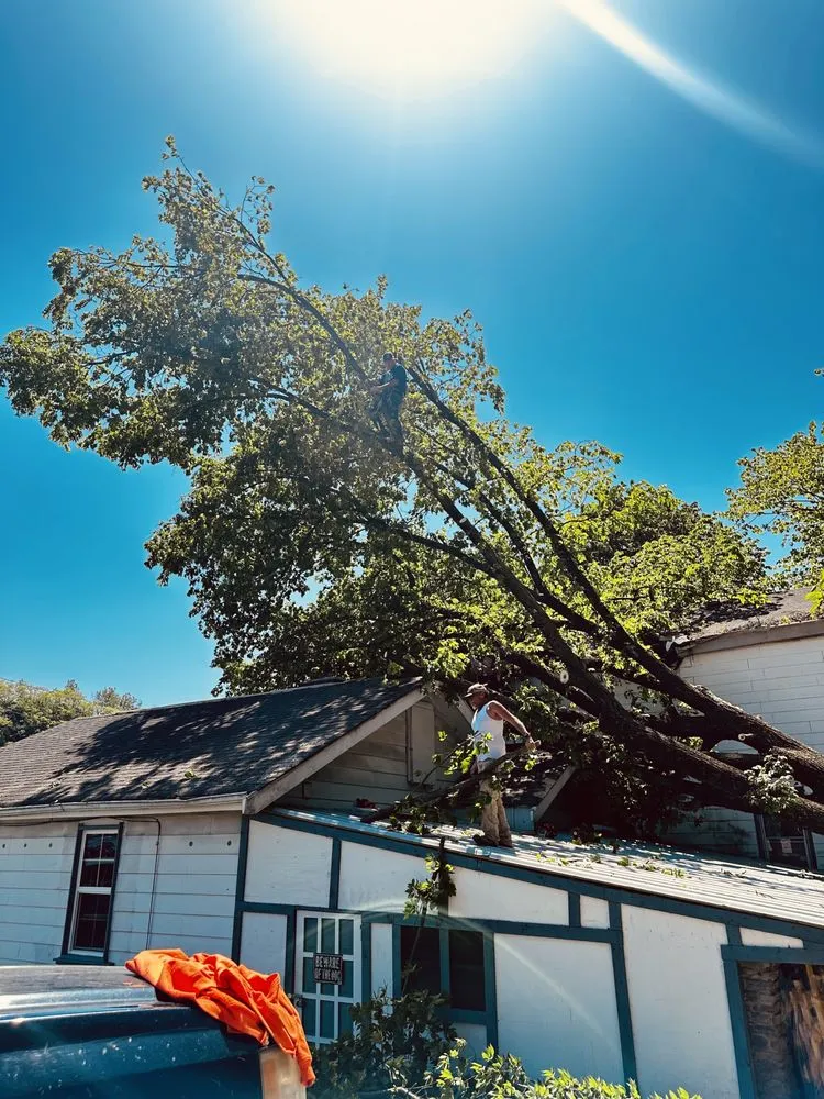 Local lawn mowing service in Erlanger, KY by Brossart F. Tree Service