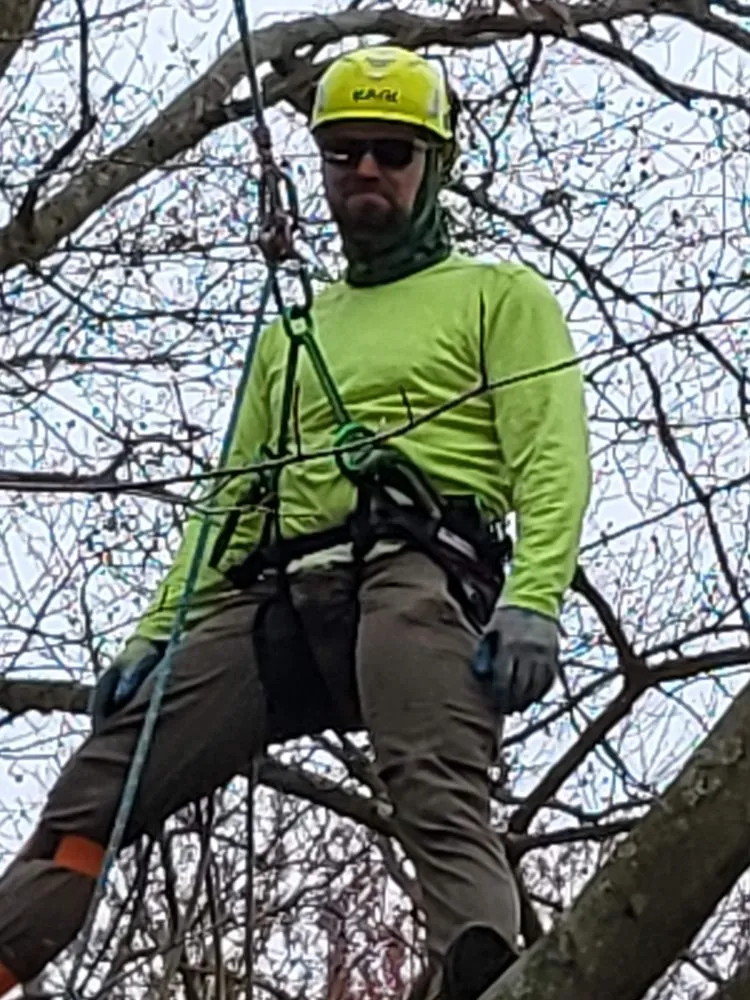 Affordable residential landscaping in Erlanger, KY - Brossart F. Tree Service