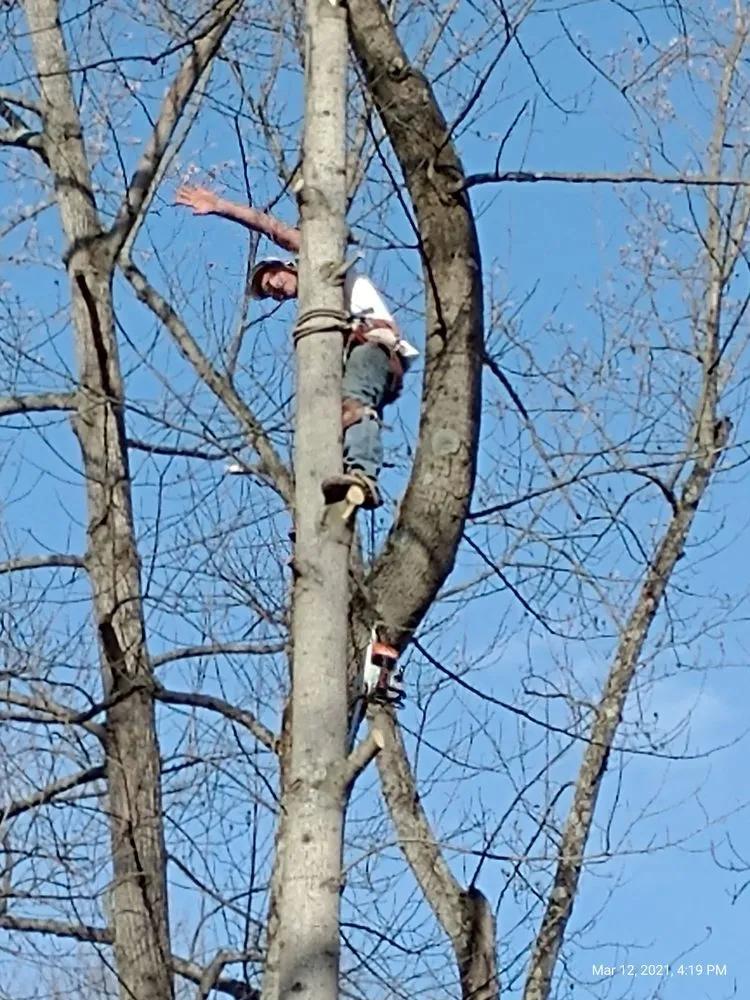 Reliable outdoor landscaping in Erlanger, KY - Brossart F. Tree Service