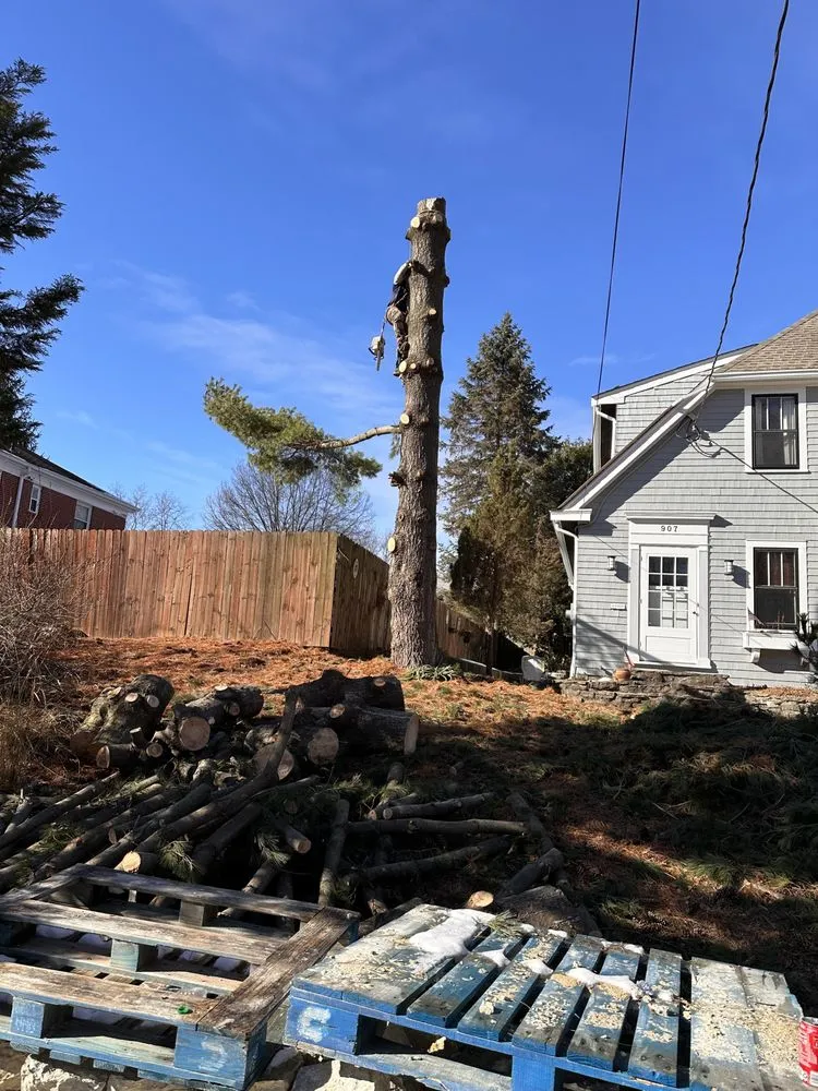 Affordable landscape design in Erlanger, KY - Brossart F. Tree Service