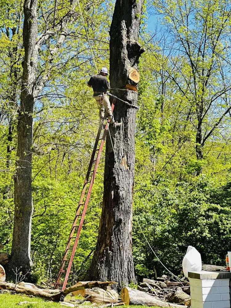 Local residential landscaping in Erlanger, KY by Brossart F. Tree Service