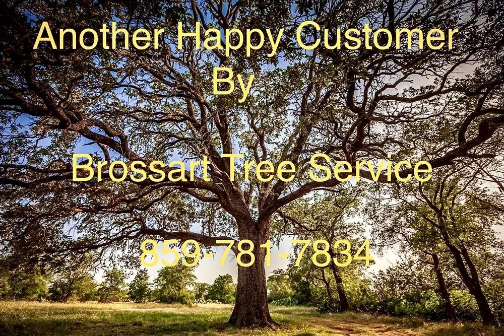 Trusted lawn care service experts serving Erlanger, KY - Brossart F. Tree Service