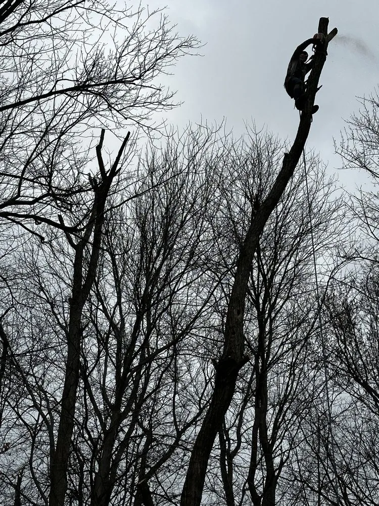 Local garden landscaping experts serving Erlanger, KY - Brossart F. Tree Service