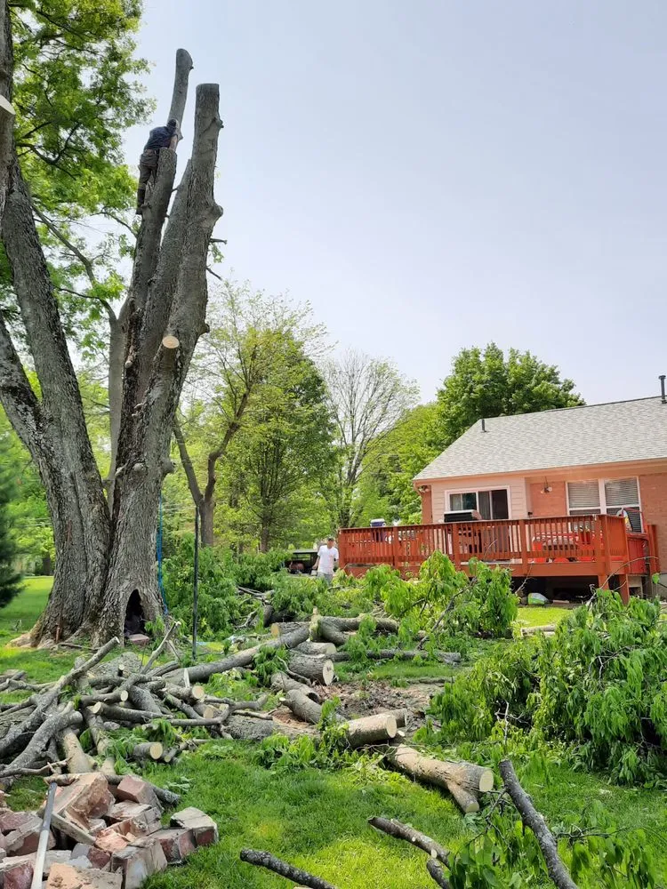 Local lawn care service in Erlanger, KY - Brossart F. Tree Service