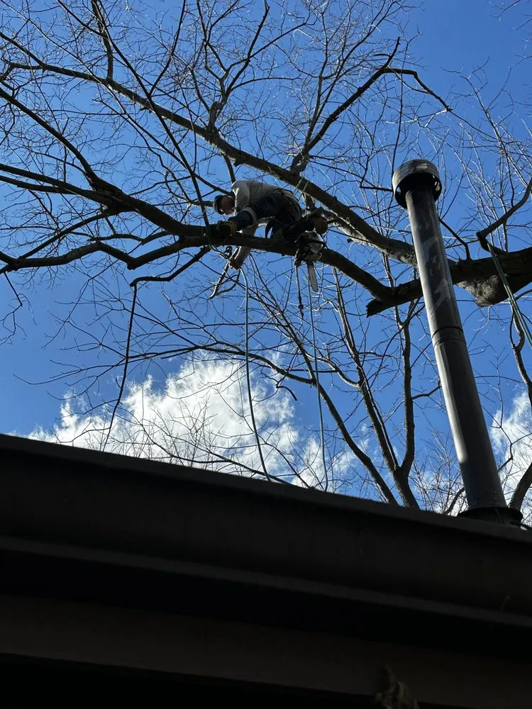 Affordable landscaping services experts serving Erlanger, KY - Brossart F. Tree Service