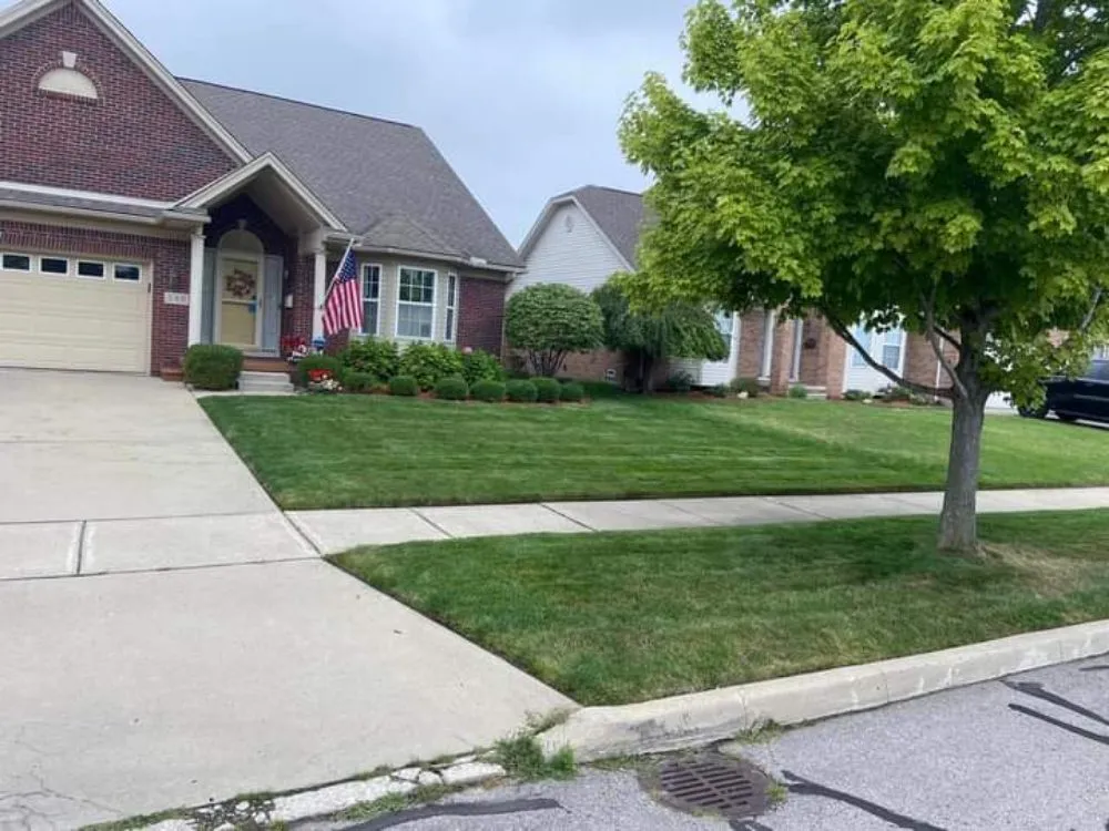 Top-rated landscape installation in Taylor, MI by Brothas In Business