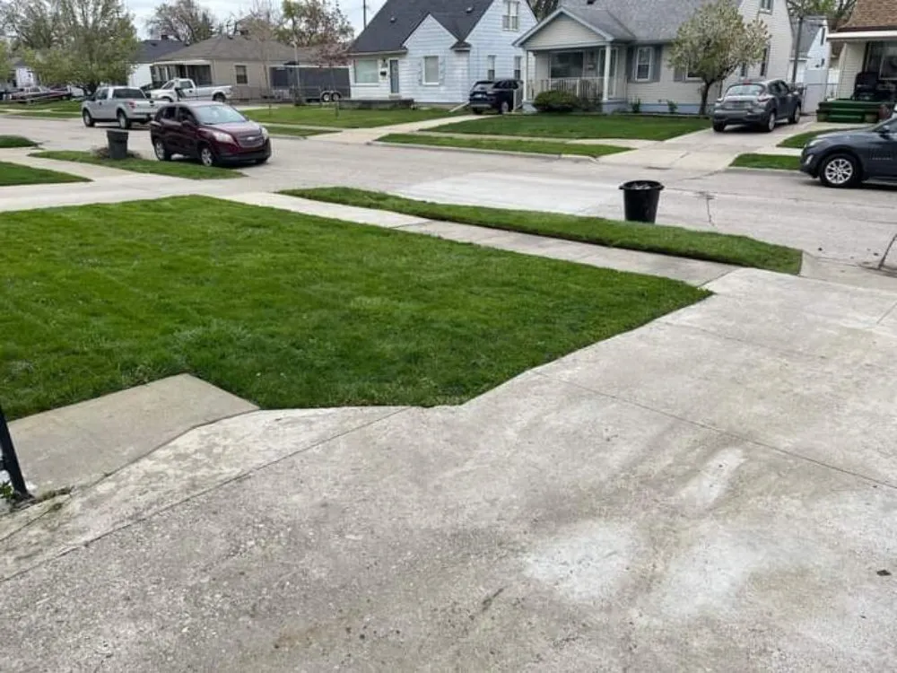 Trusted landscape installation in Taylor, MI by Brothas In Business
