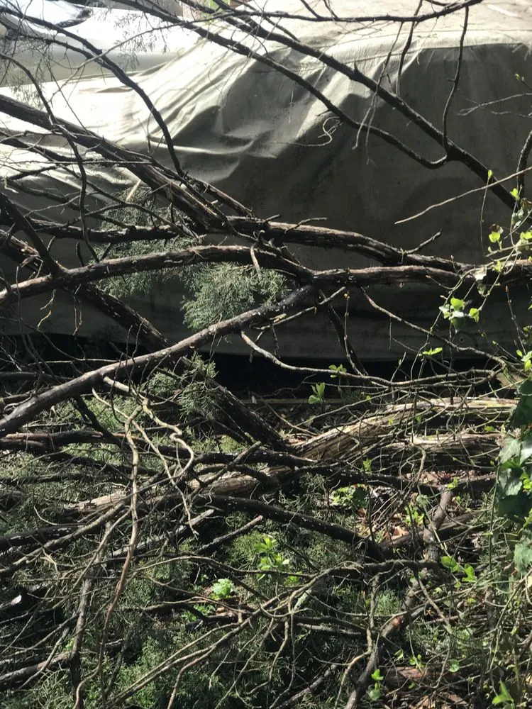 Trusted residential landscaping for year-round maintenance across Bartlett, TN - Brother And Brother Landscaping