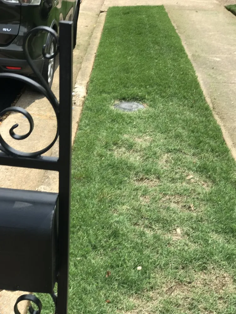 Expert landscape installation for year-round maintenance across Bartlett, TN - Brother And Brother Landscaping