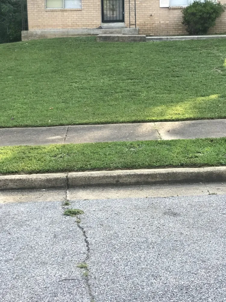 Professional yard maintenance experts serving Bartlett, TN - Brother And Brother Landscaping