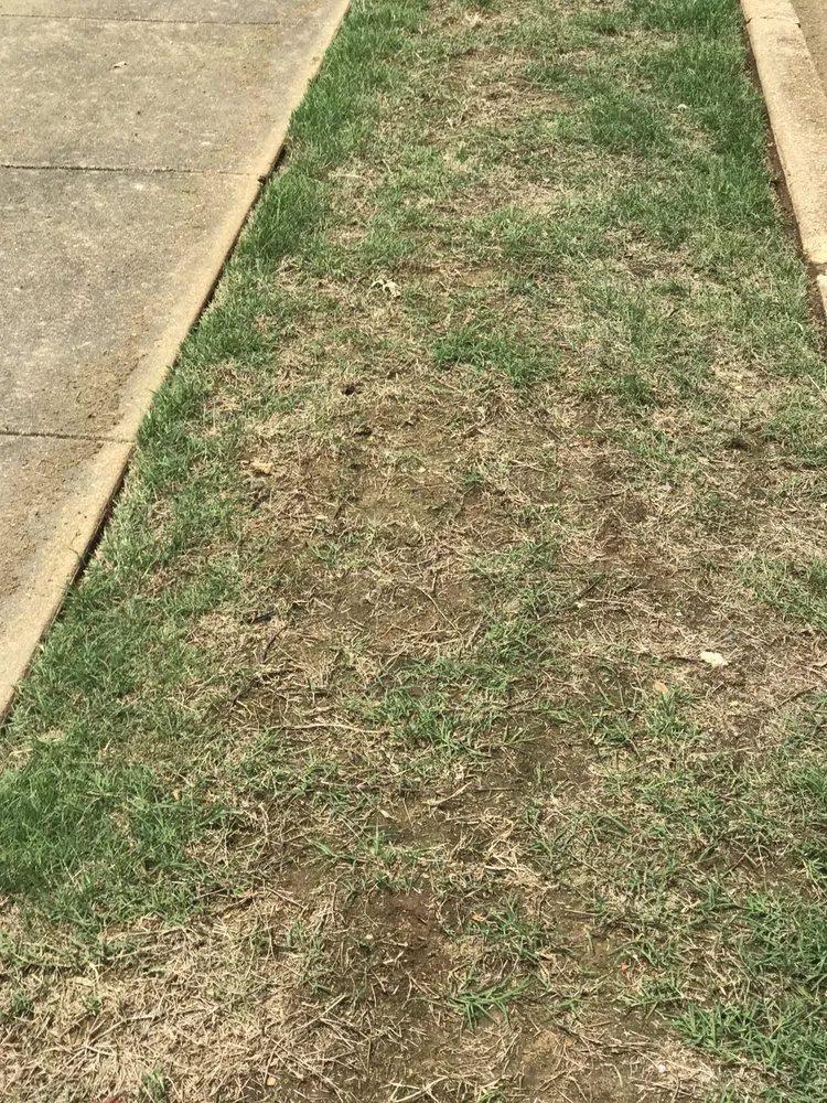 Top-rated lawn care service experts serving Bartlett, TN - Brother And Brother Landscaping