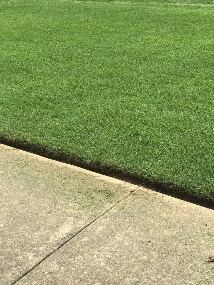 Trusted landscape installation for homes across Bartlett, TN - Brother And Brother Landscaping