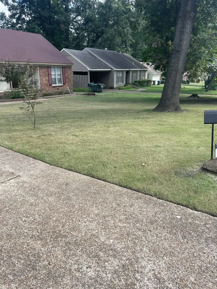 Top-rated landscape installation in Bartlett, TN - Brother And Brother Landscaping