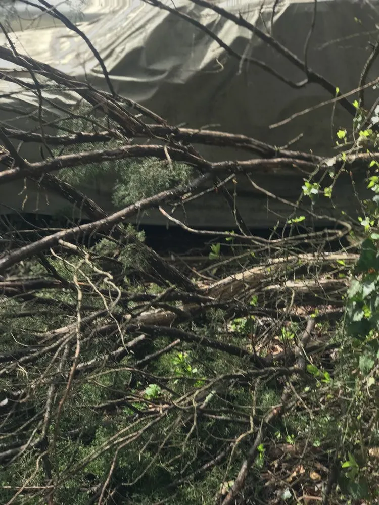 Professional lawn care service in Bartlett, TN by Brother And Brother Landscaping