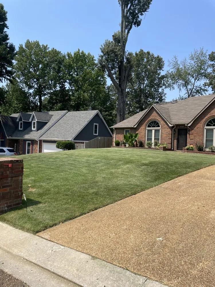 Reliable yard cleanup service for year-round maintenance across Bartlett, TN - Brother And Brother Landscaping